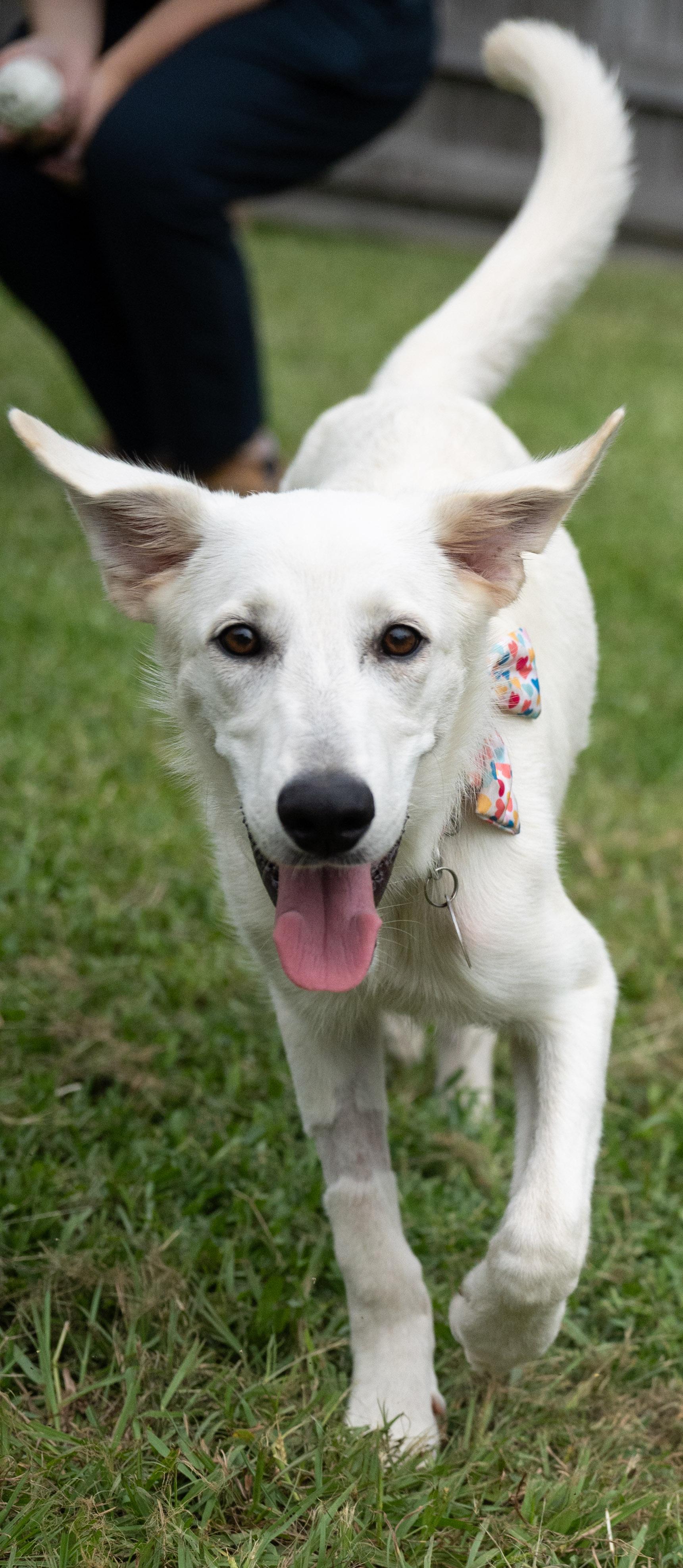 Sizzle — thumbnail 2