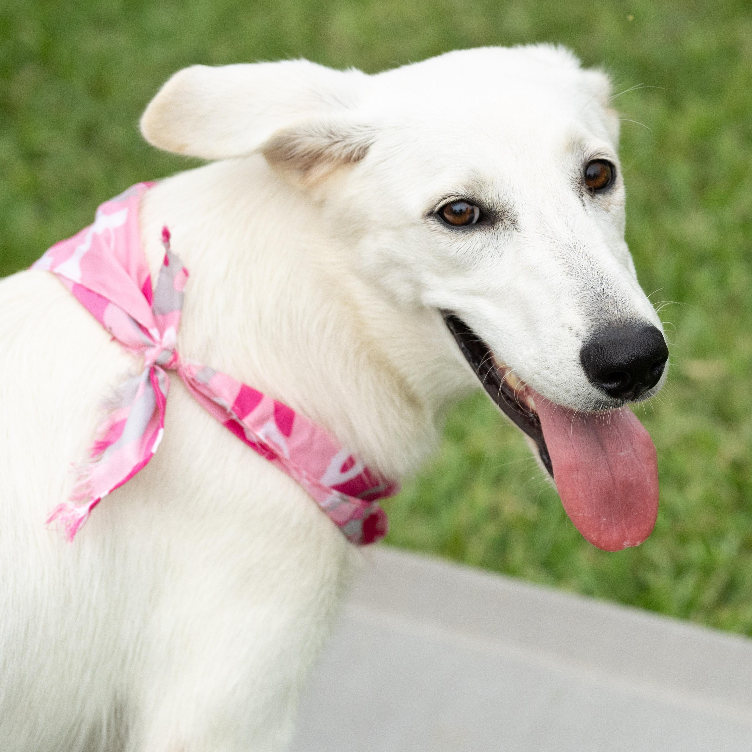 Sizzle — thumbnail 3