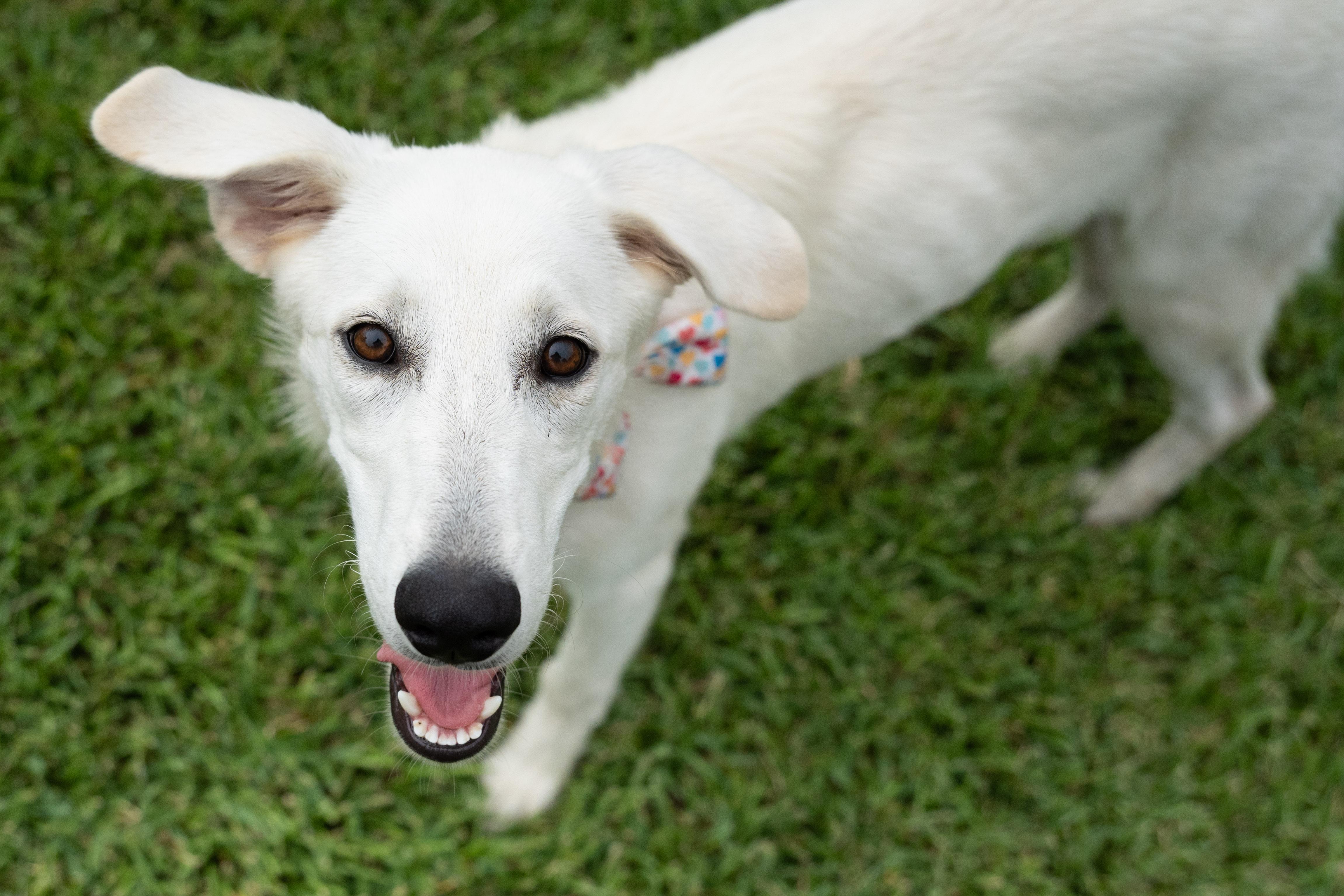 Sizzle — thumbnail 6