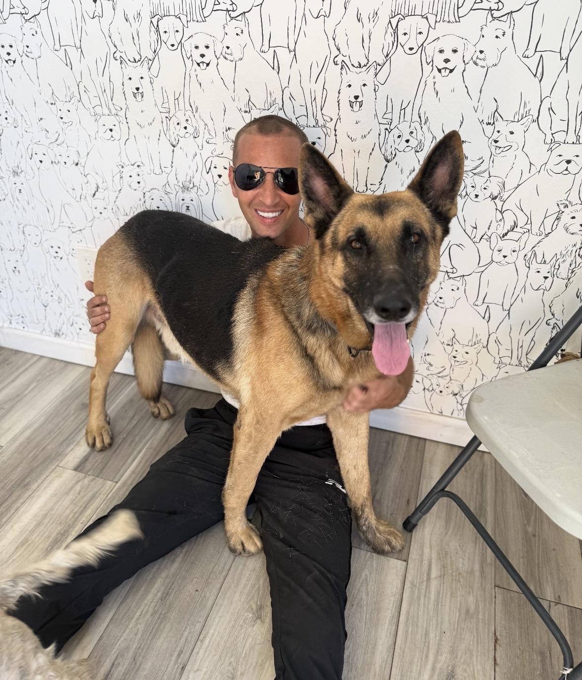 Enlarge Clyde, a Adoptable German Shepherd Dog in Pilot Point, TX image 5/5