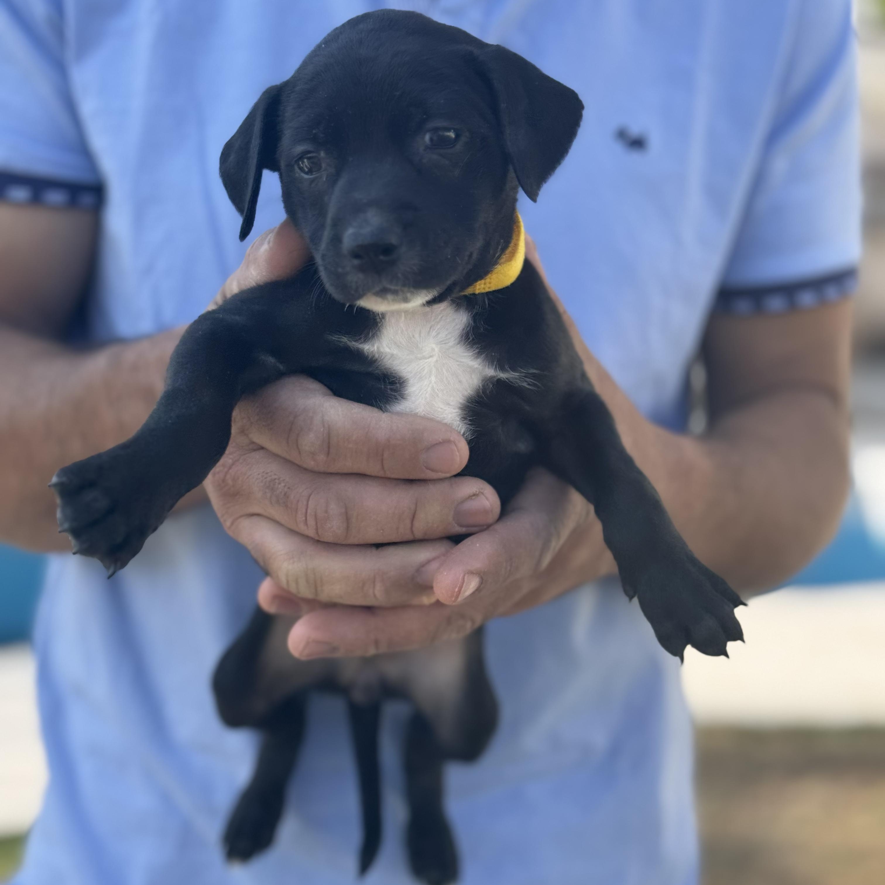 Janice — thumbnail 4