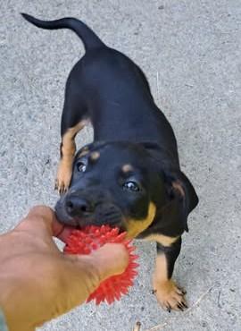 Ruby 3
