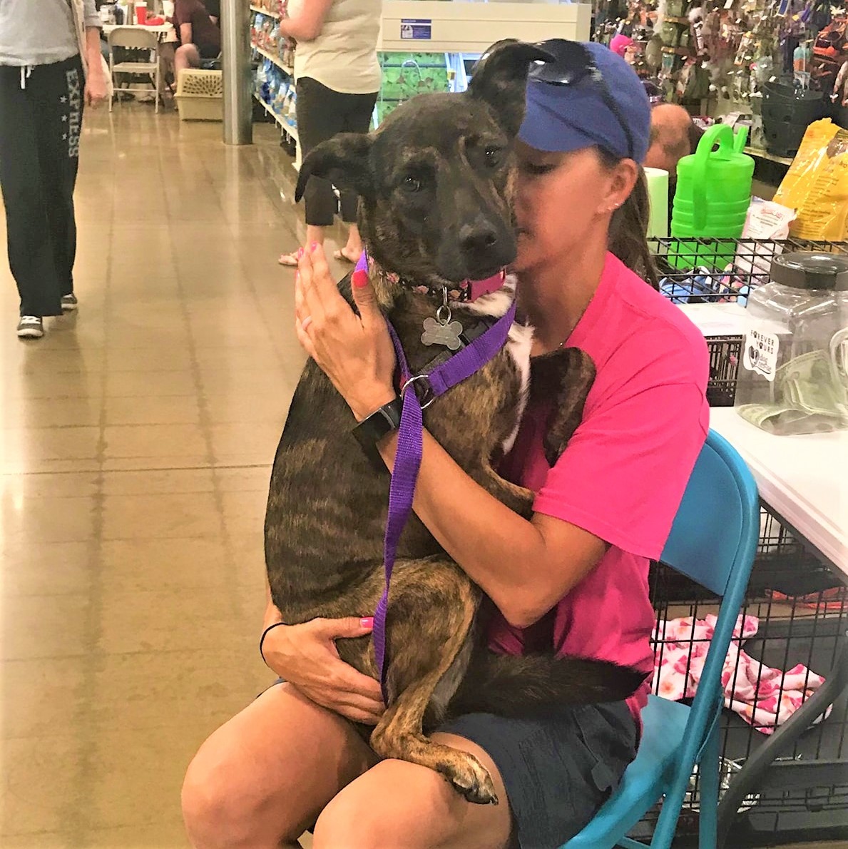 Enlarge Pepper, a Adoptable mixed breed in Oklahoma City, OK image 8/11