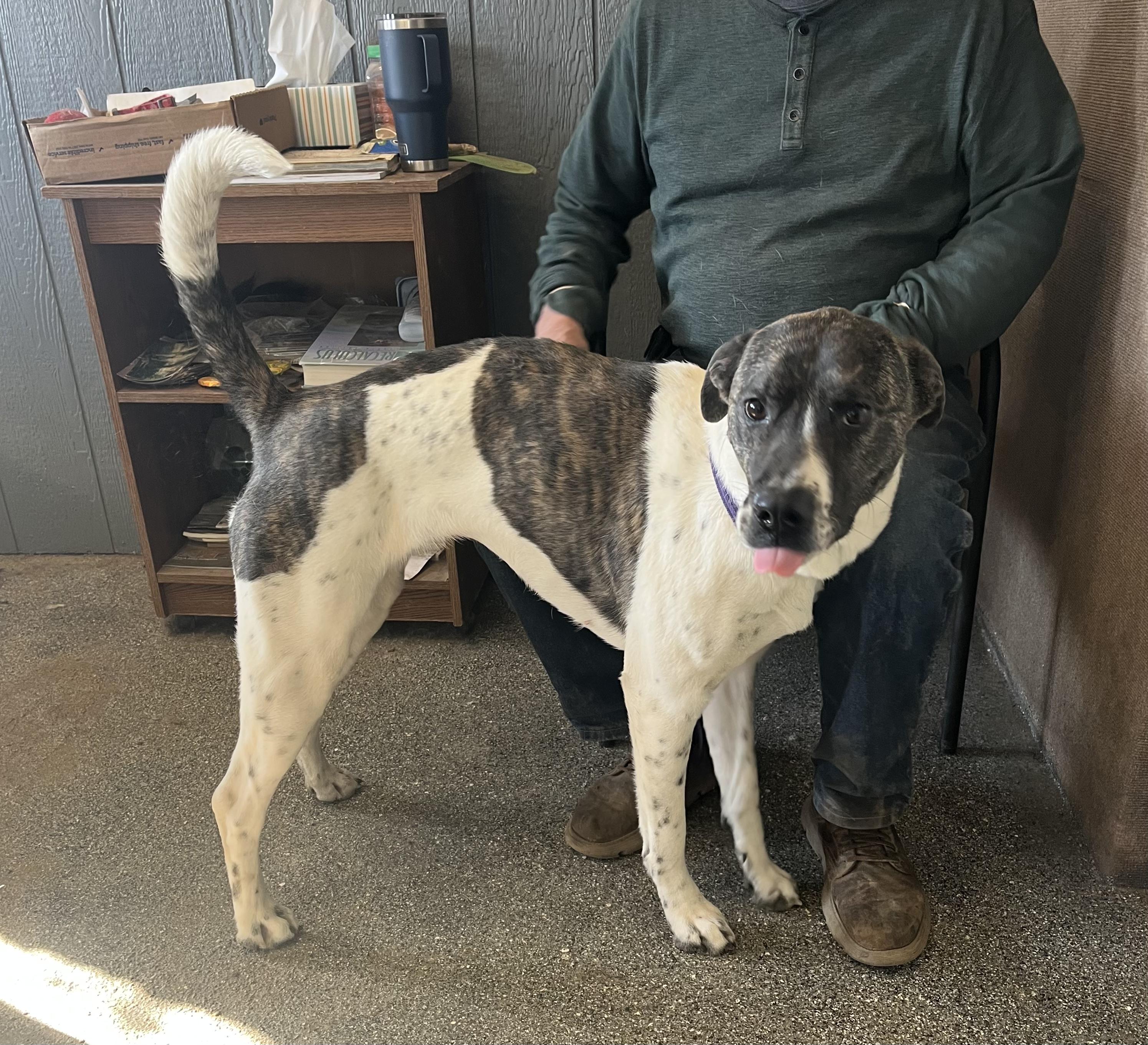 Penny — thumbnail 4