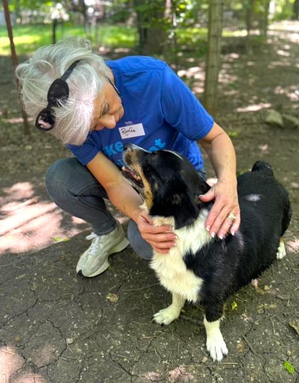 Winston, an adopted mixed breed in Godley, TX image 5/6