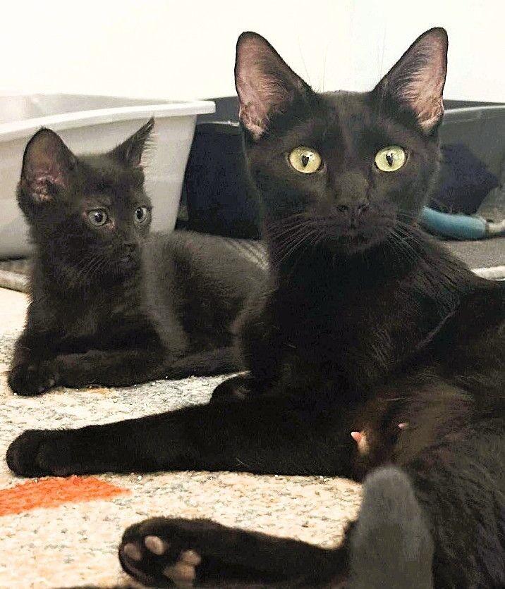 Luna ♡ thumbnail 3