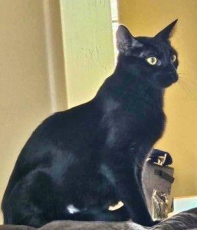 Luna ♡ thumbnail 6