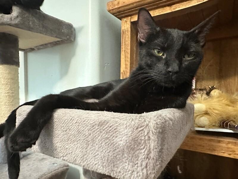 Luna ♡ thumbnail 7