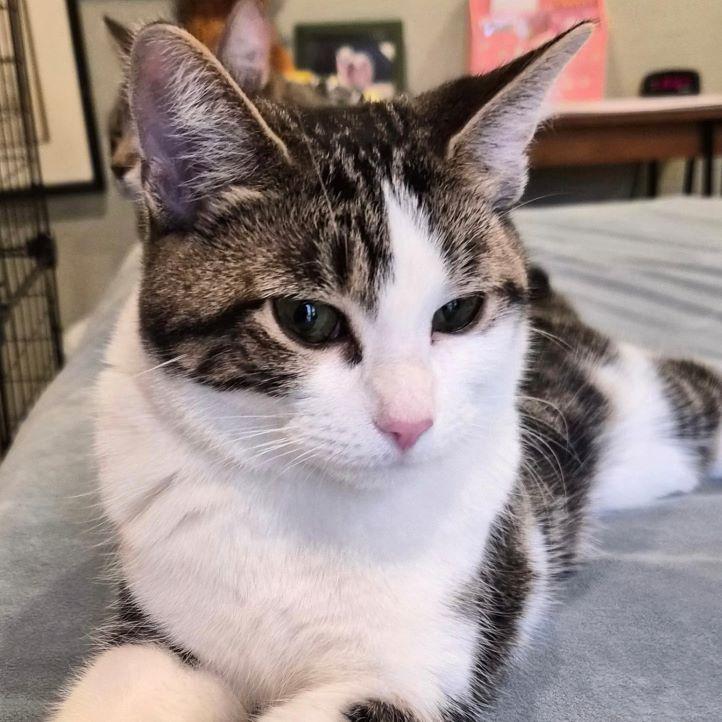 Jamie — thumbnail 2