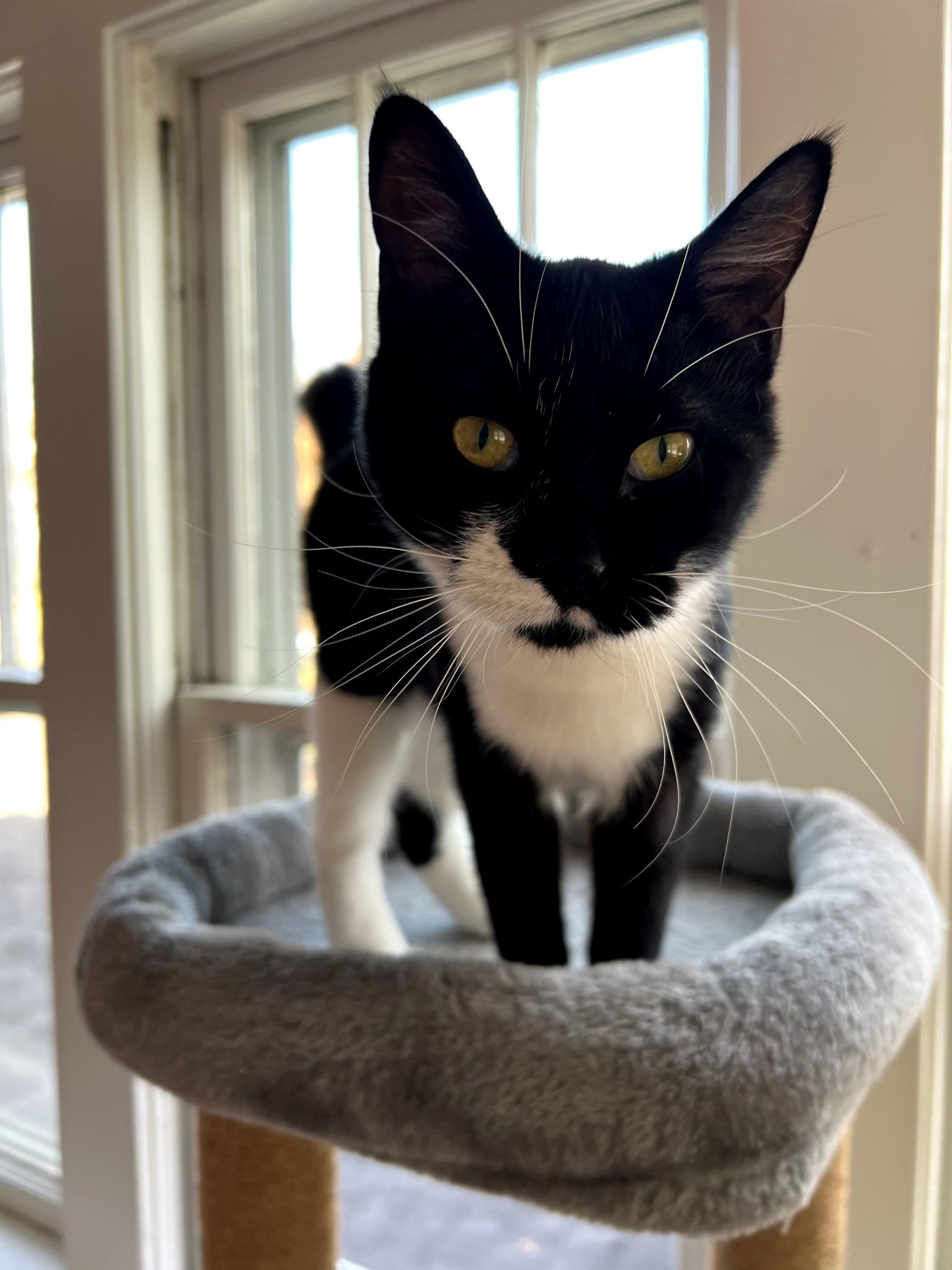 Summer Bonded photo 1