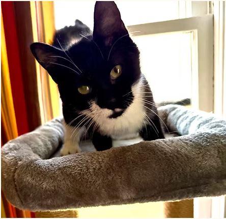 Summer  Bonded thumbnail 2