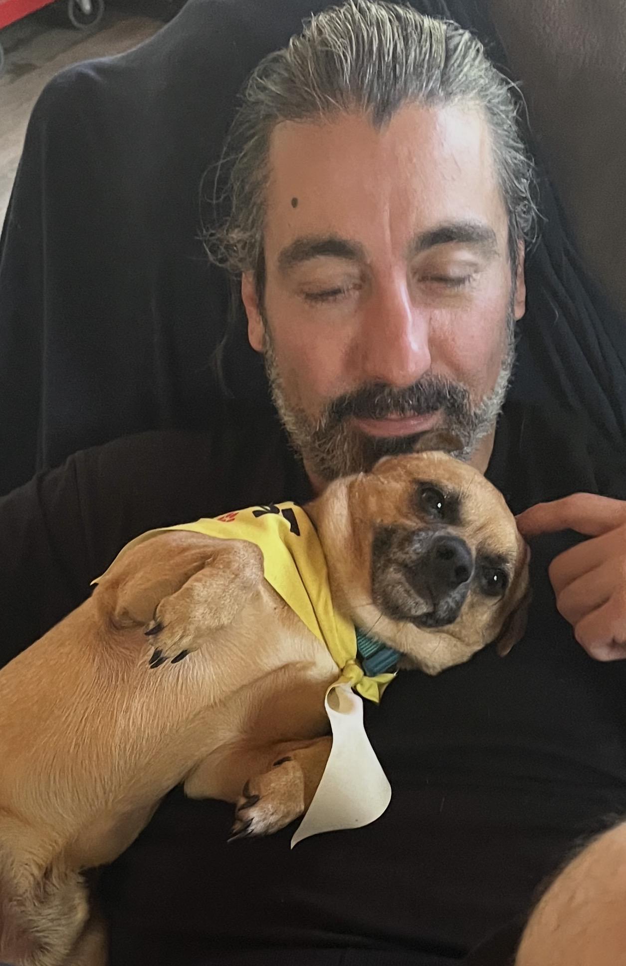 Enlarge Nacho, a ADOPTABLE Chihuahua in Cary, NC image 1/1