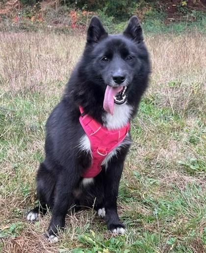 Rosie  Everyone's Best