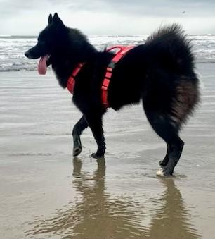 Rosie  Everyone's Best thumbnail 3