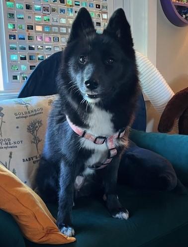 Rosie  Everyone's Best thumbnail 4