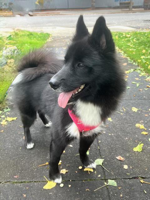 Rosie  Everyone's Best thumbnail 5