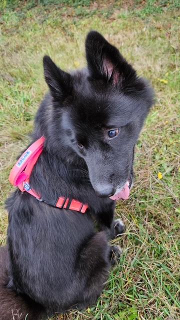 Rosie  Everyone's Best thumbnail 6