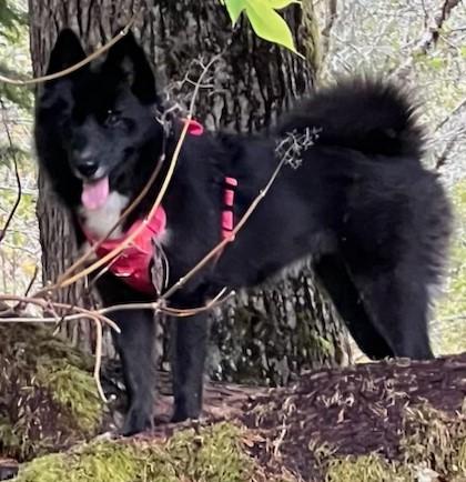 Rosie  Everyone's Best thumbnail 7