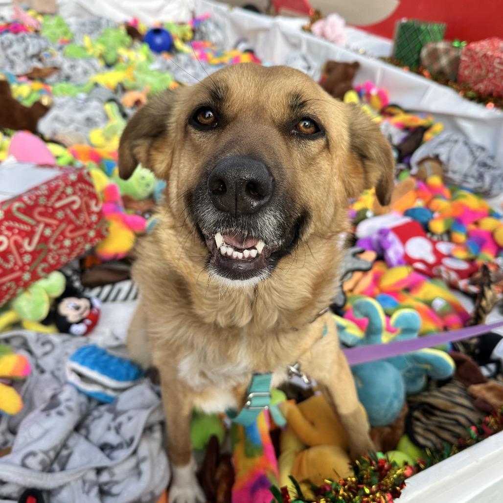 Pretty Girl — thumbnail 3