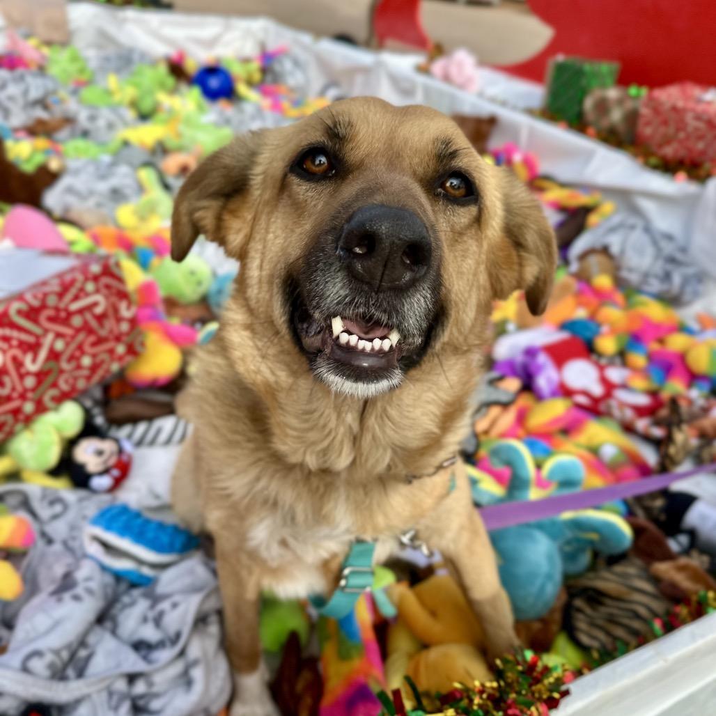 Pretty Girl — thumbnail 4