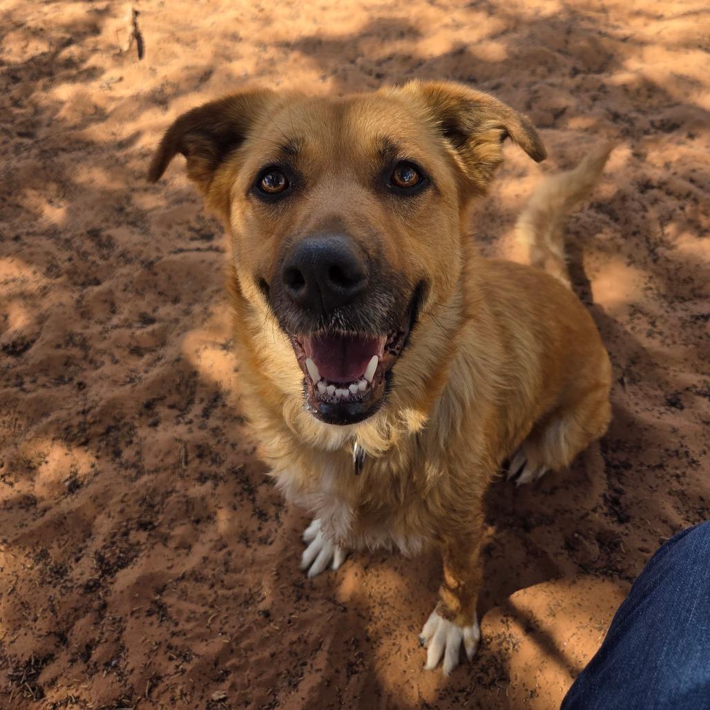 Pretty Girl — thumbnail 6