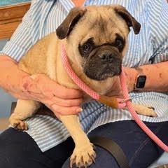 Archer — thumbnail 5