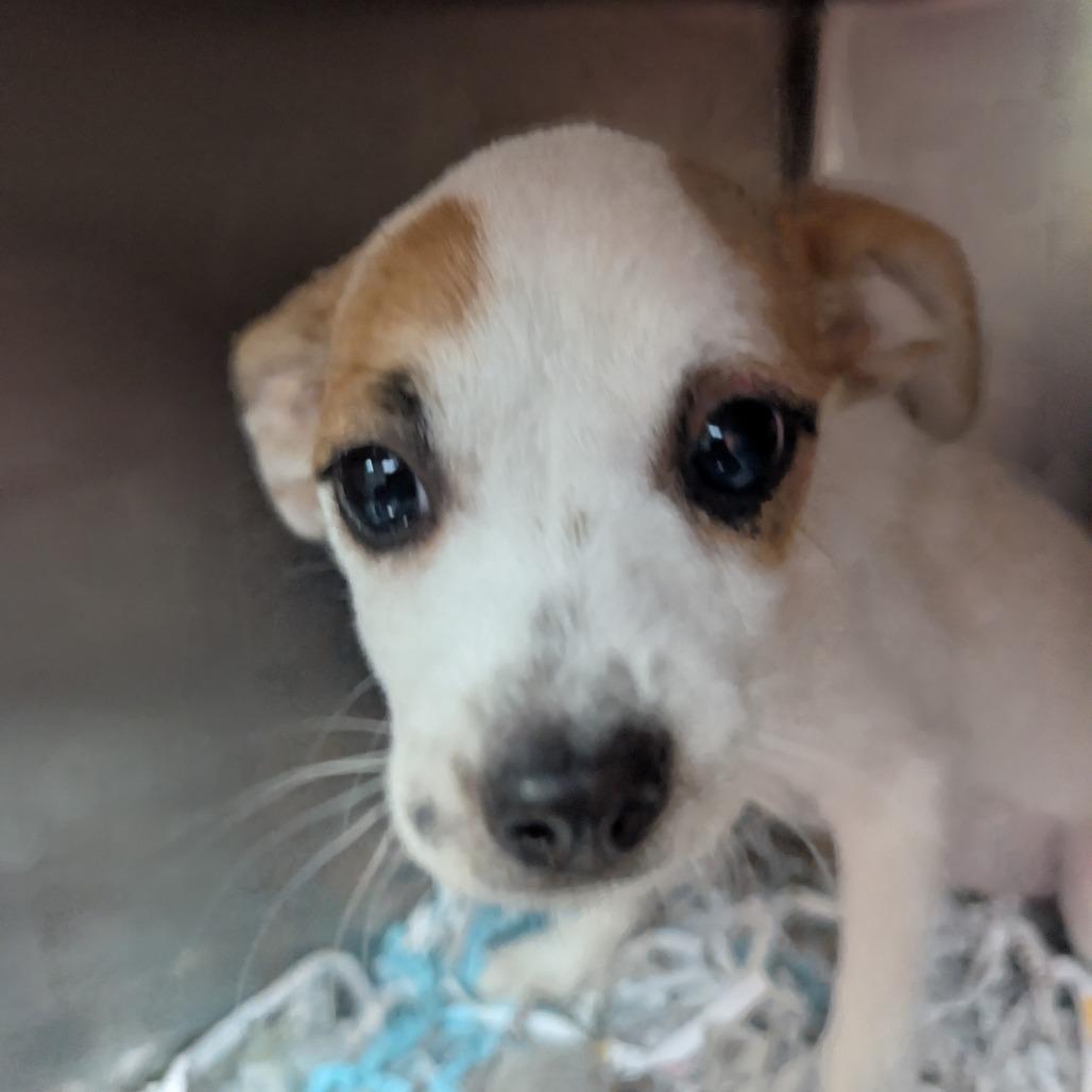 Rachel — thumbnail 2