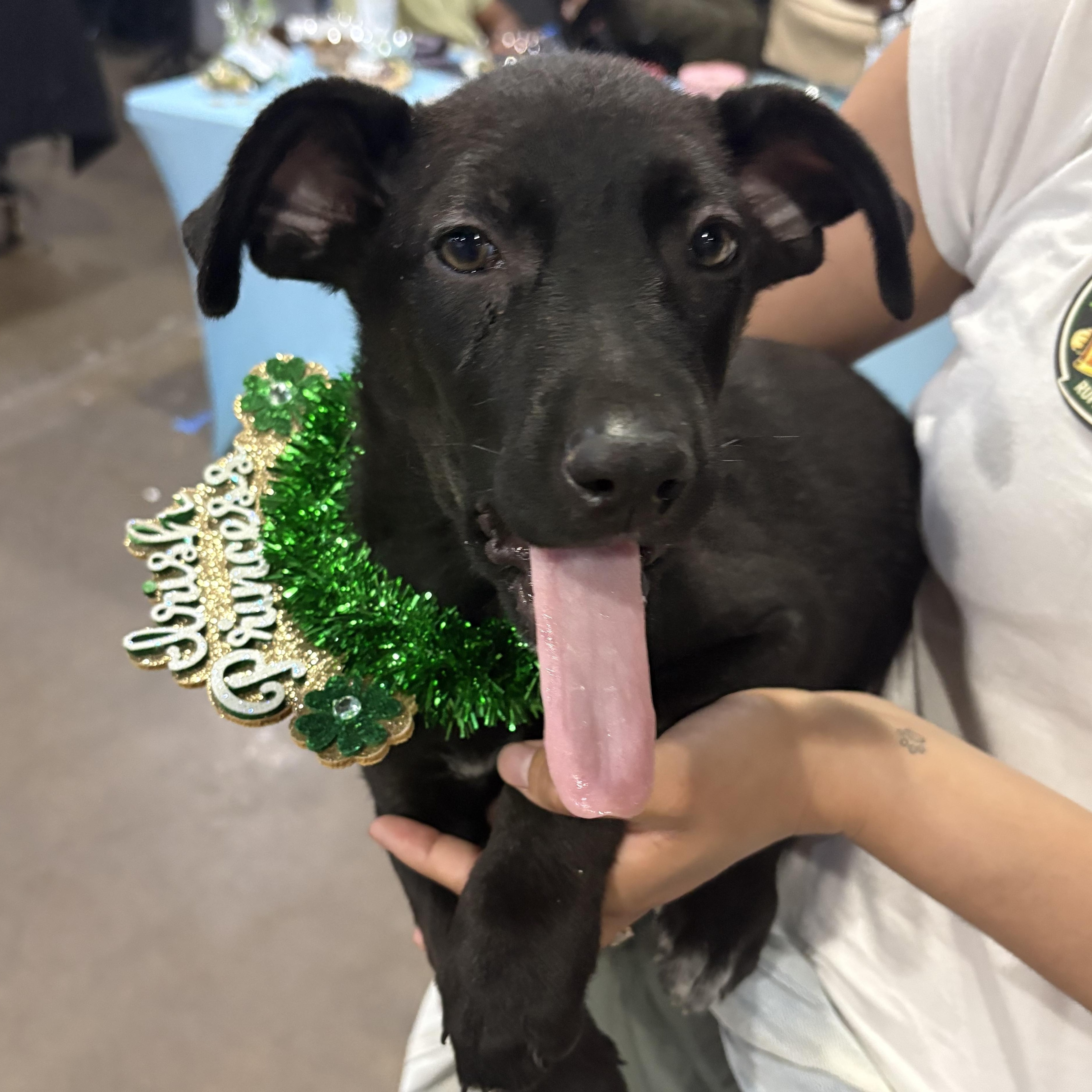 Asia — thumbnail 4