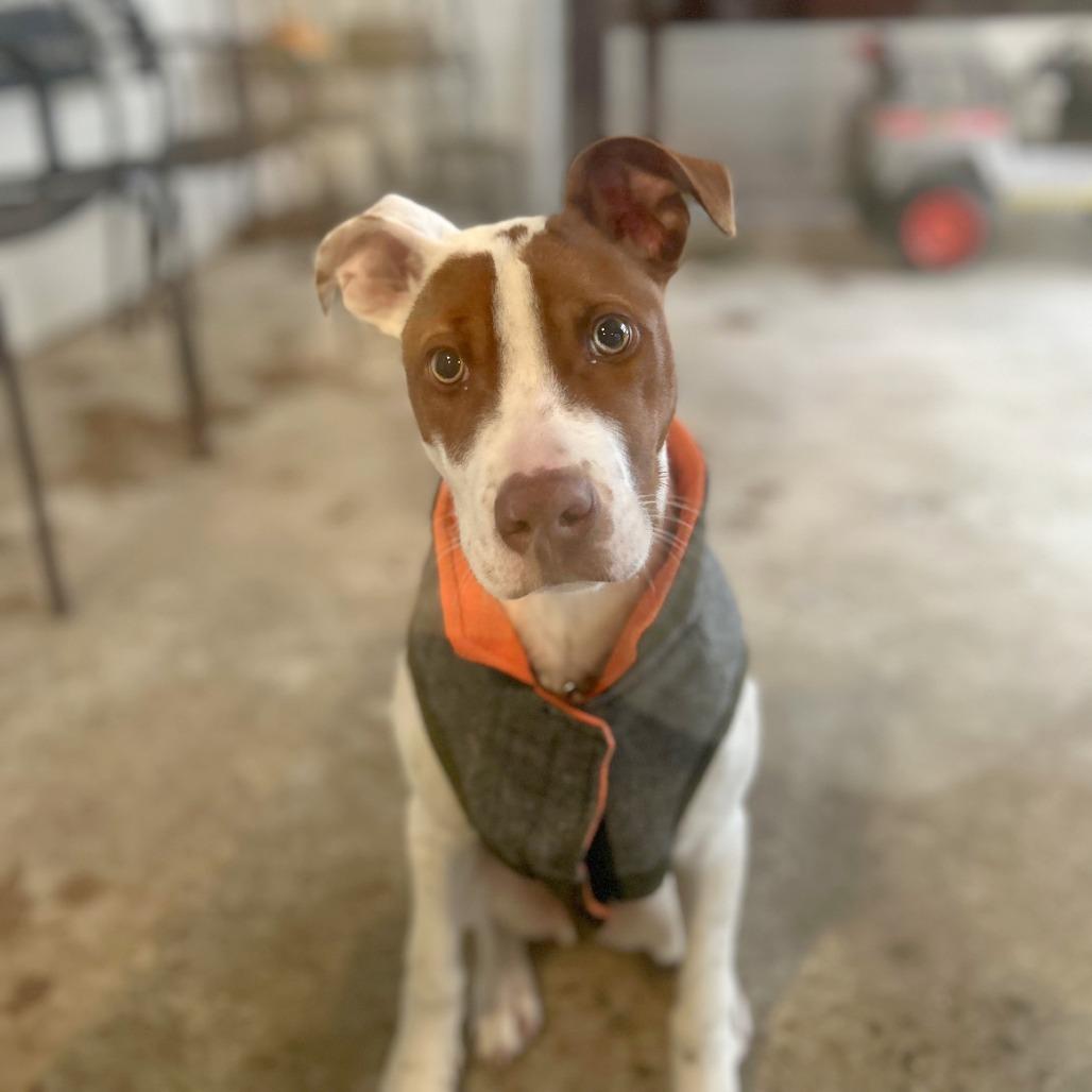 Creed — thumbnail 2