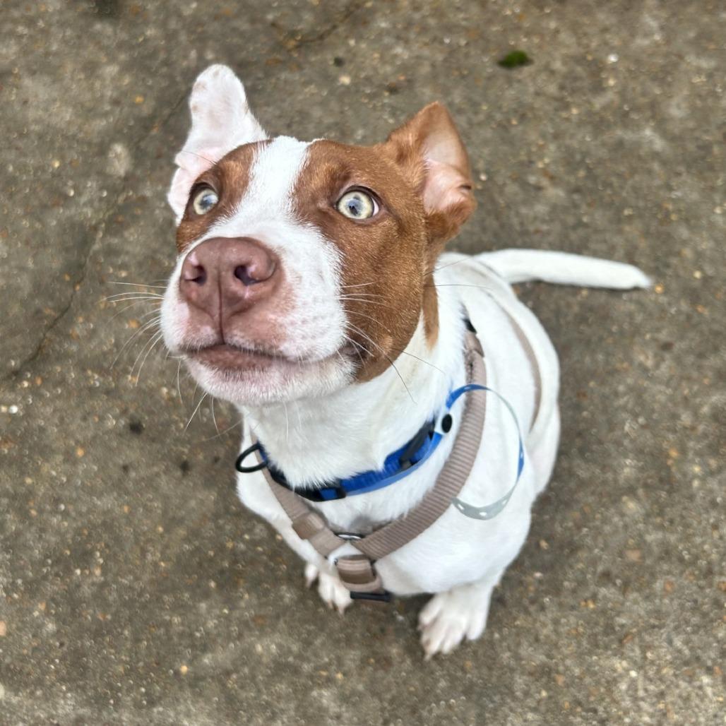 Creed — thumbnail 3