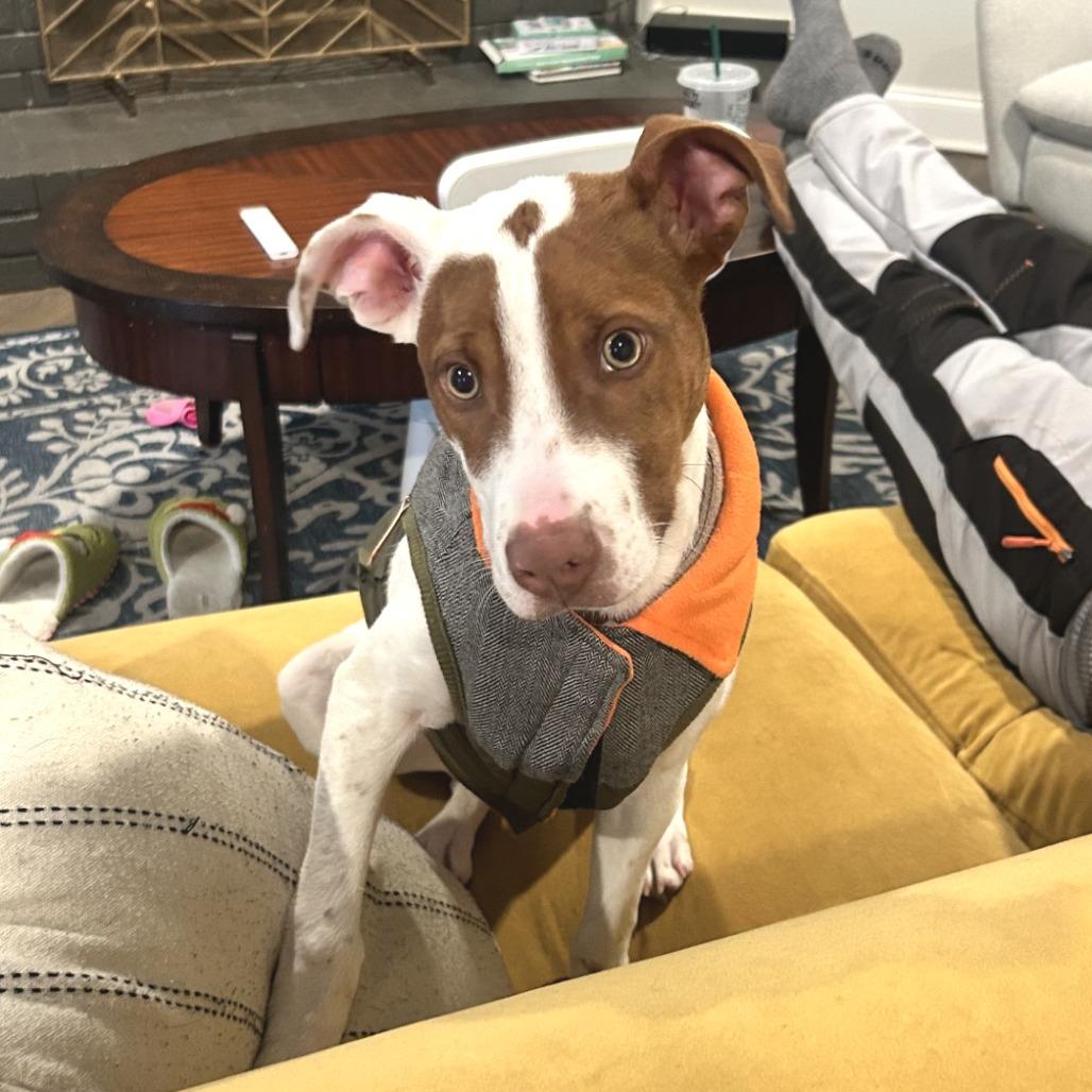 Creed — thumbnail 4