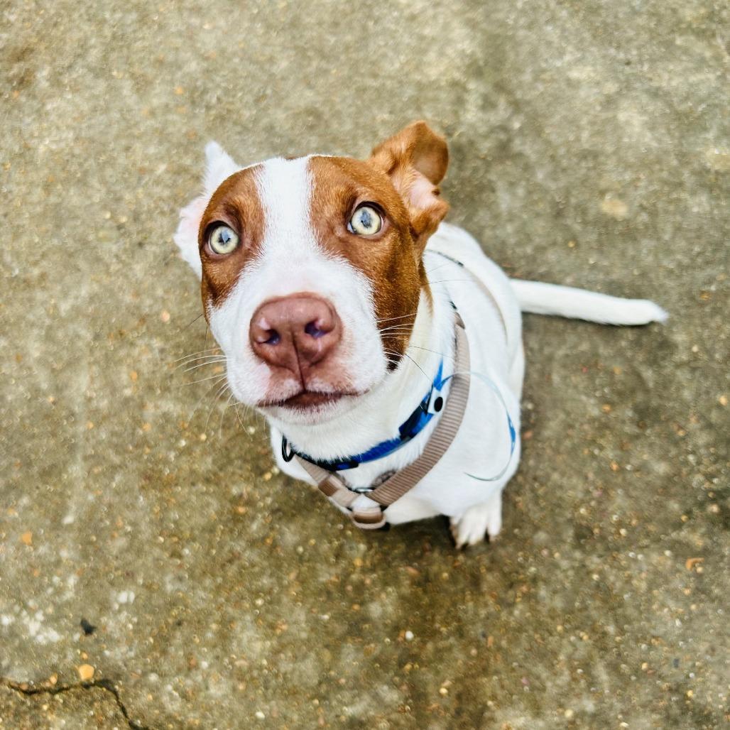 Creed — thumbnail 5