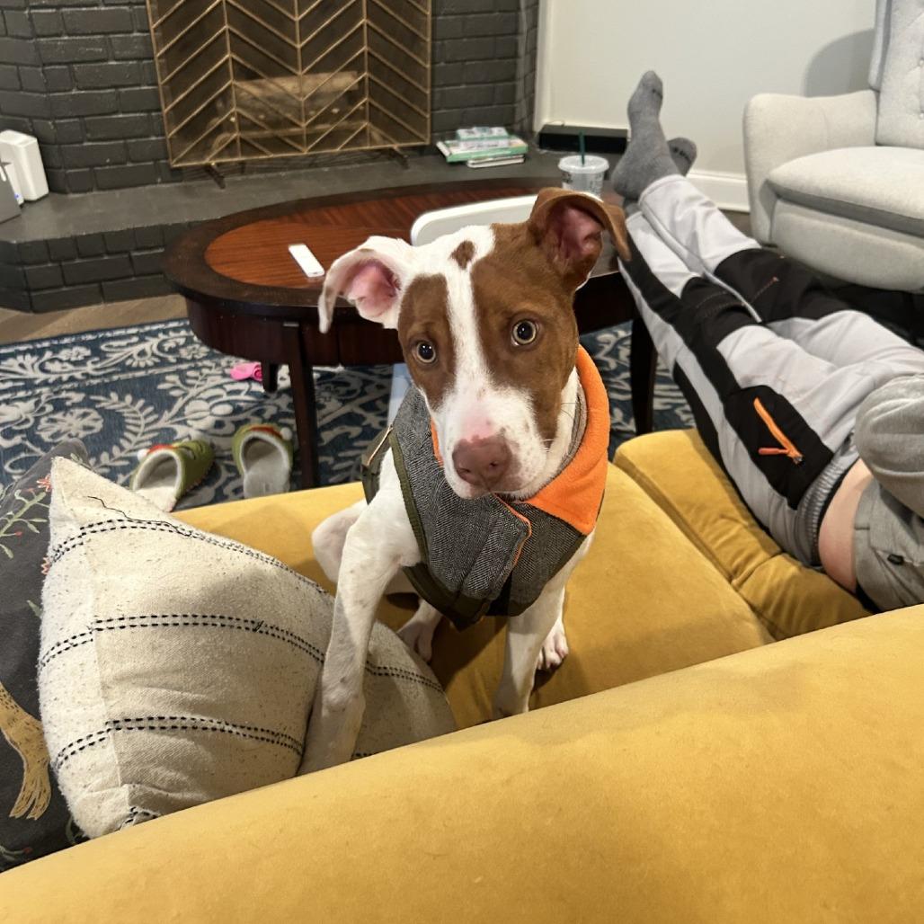 Creed — thumbnail 6