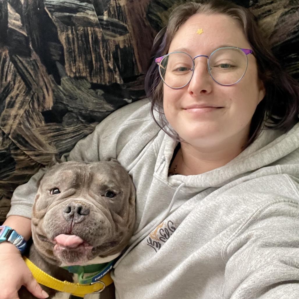 Enlarge Mr. Lasagna, a Adoptable English Bulldog in Chicago, IL image 6/6