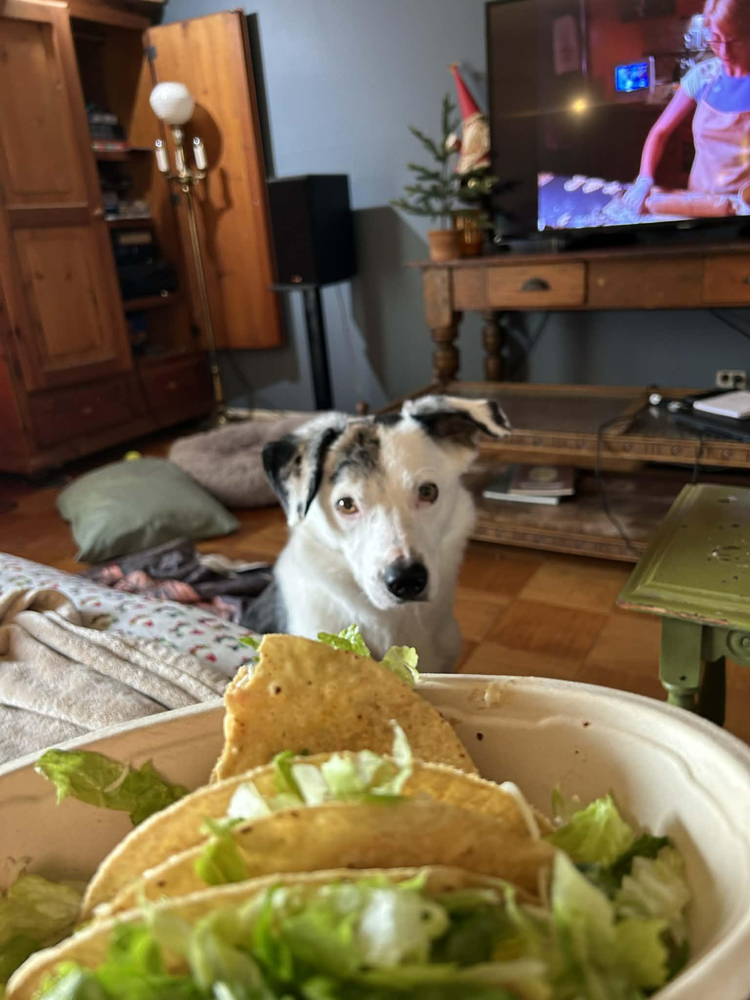 Magic — thumbnail 5