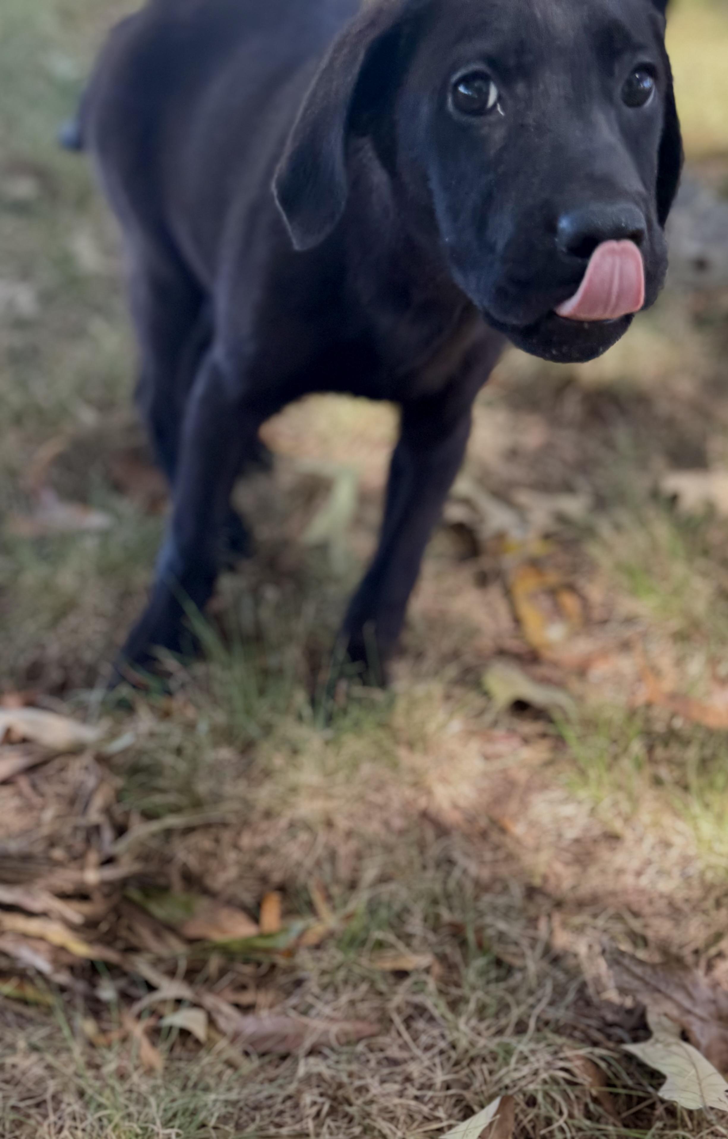 Jackson