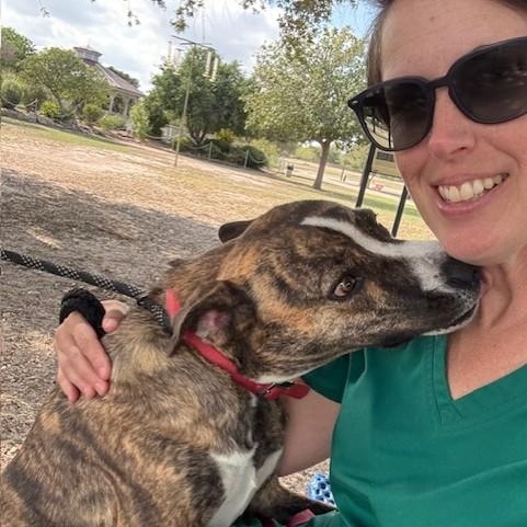 Rylee, an adoptable Catahoula Leopard Dog in Williston, VT, 05495 | Photo Image 4