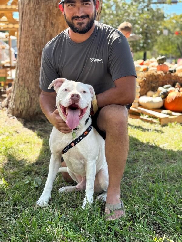Enlarge Nate Smiles the Sunshine Pup, a Adoptable mixed breed in Friendswood, TX image 5/6