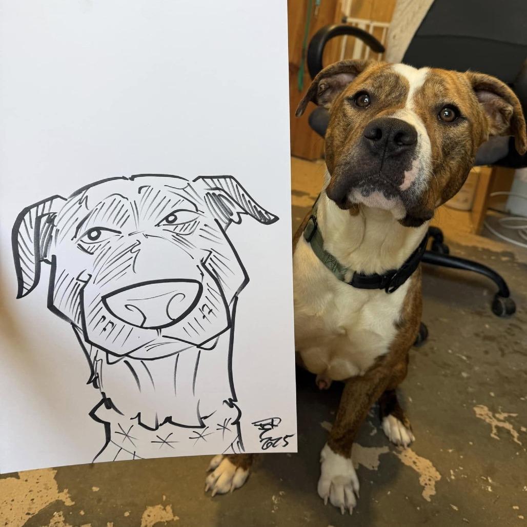 Beckham, a Adoptable mixed breed image 3/6