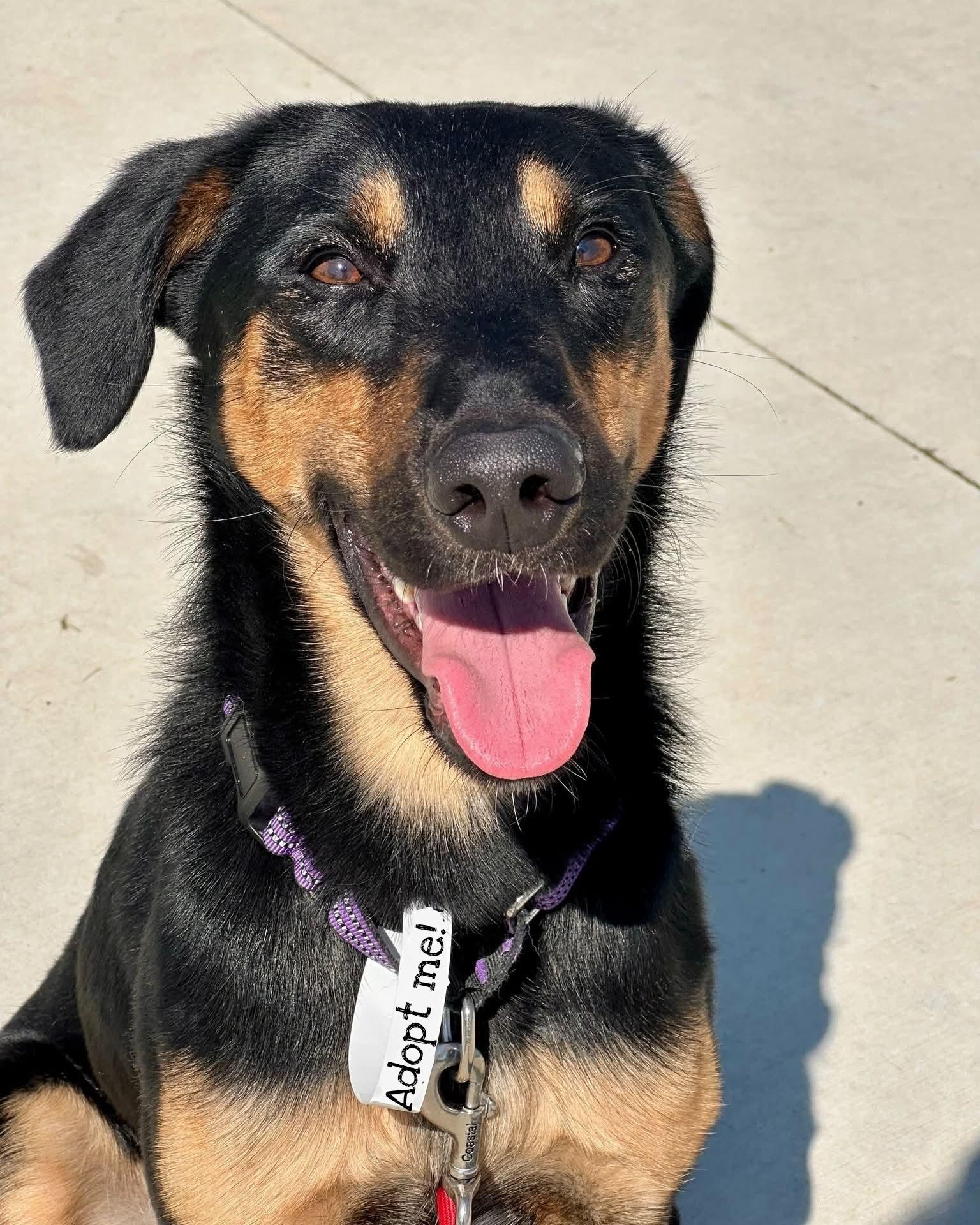 Timmy in Foster Care