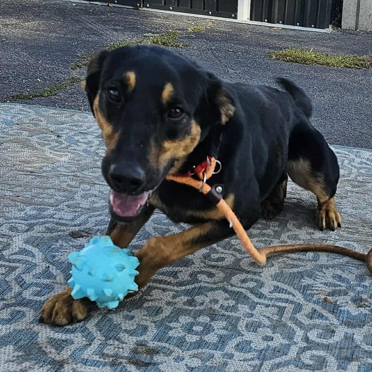 Timmy in Foster Care