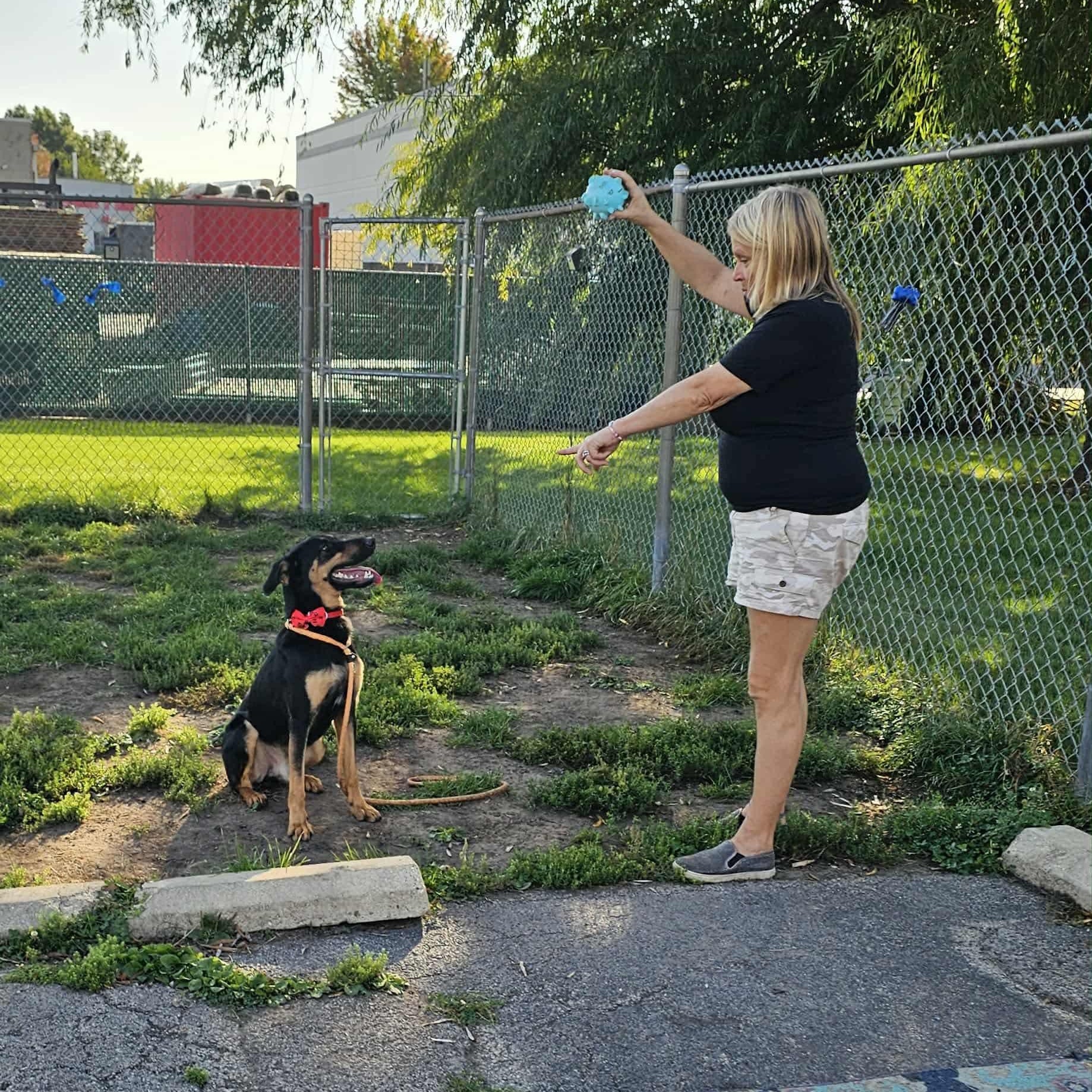 Timmy in Foster Care