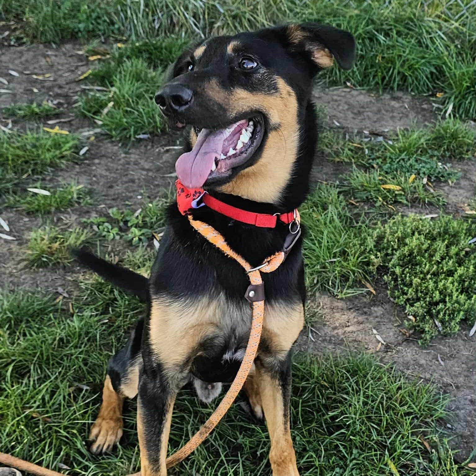 Timmy in Foster Care