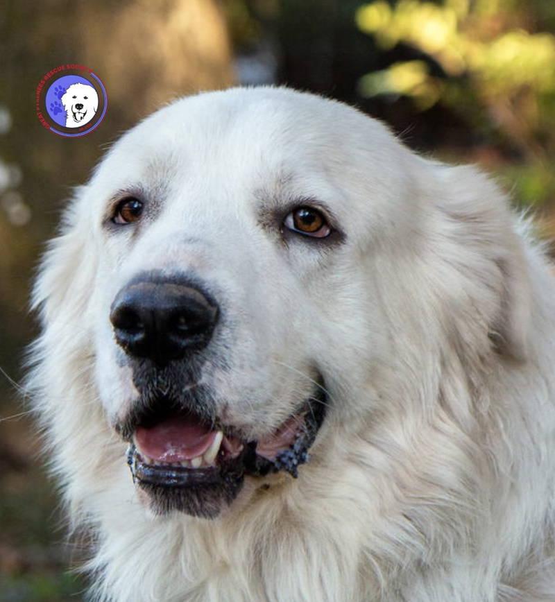 Riley — thumbnail 5