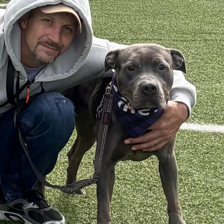 Enlarge Jolene, a Adoptable mixed breed in Buffalo, NY image 4/5