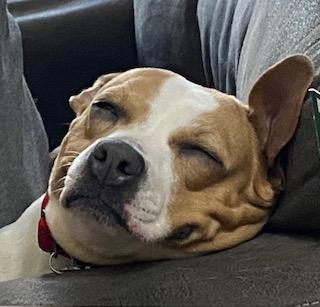 Tator Tot
