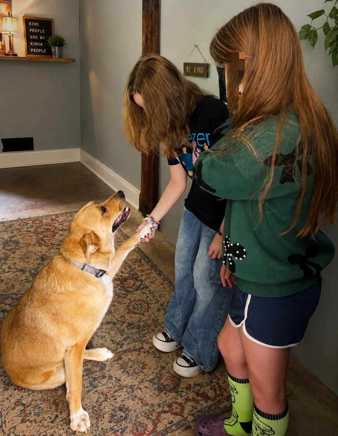 Enlarge MR BIG, a Adopted mixed breed in Leominster, MA image 6/6