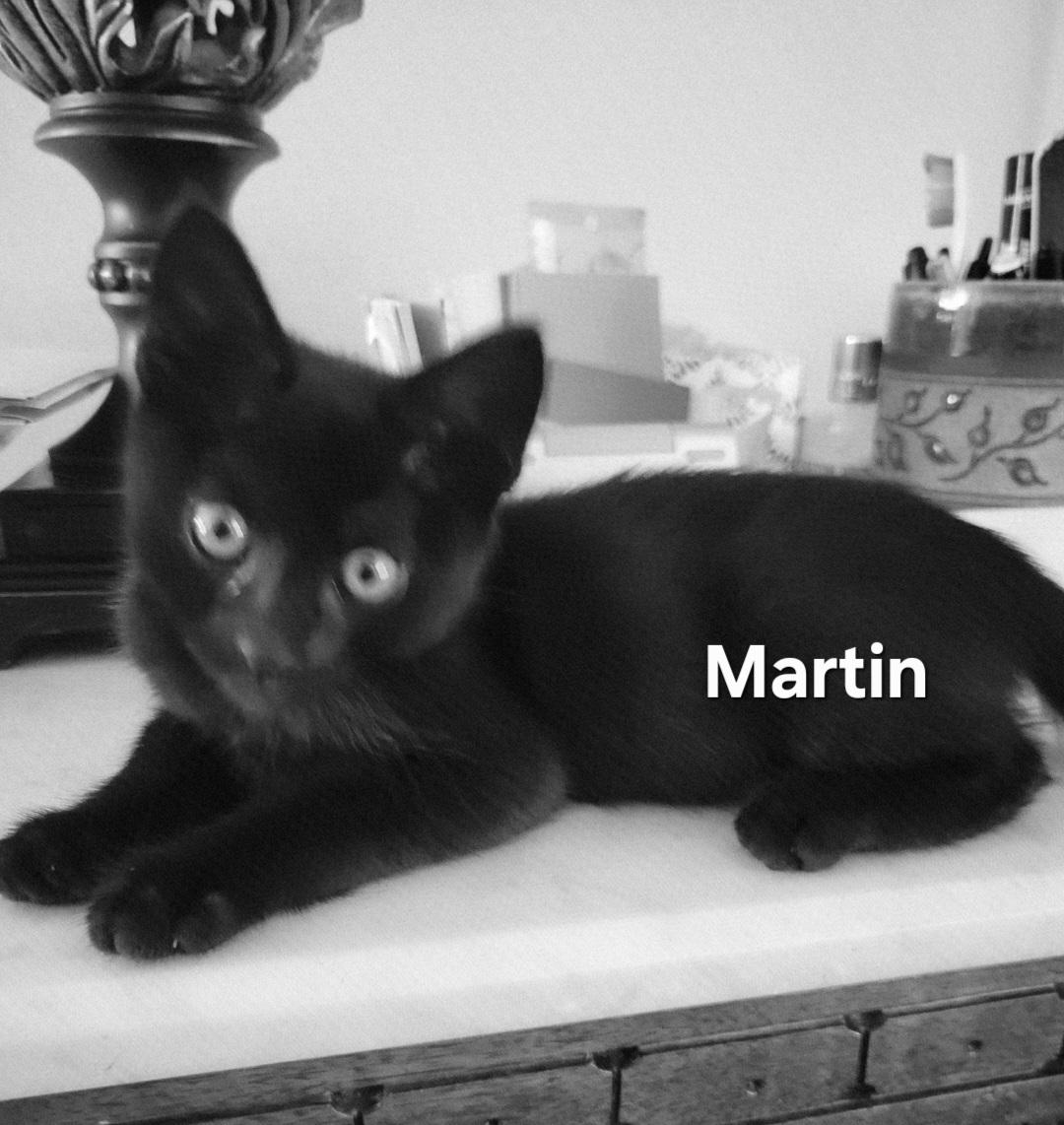 Martin