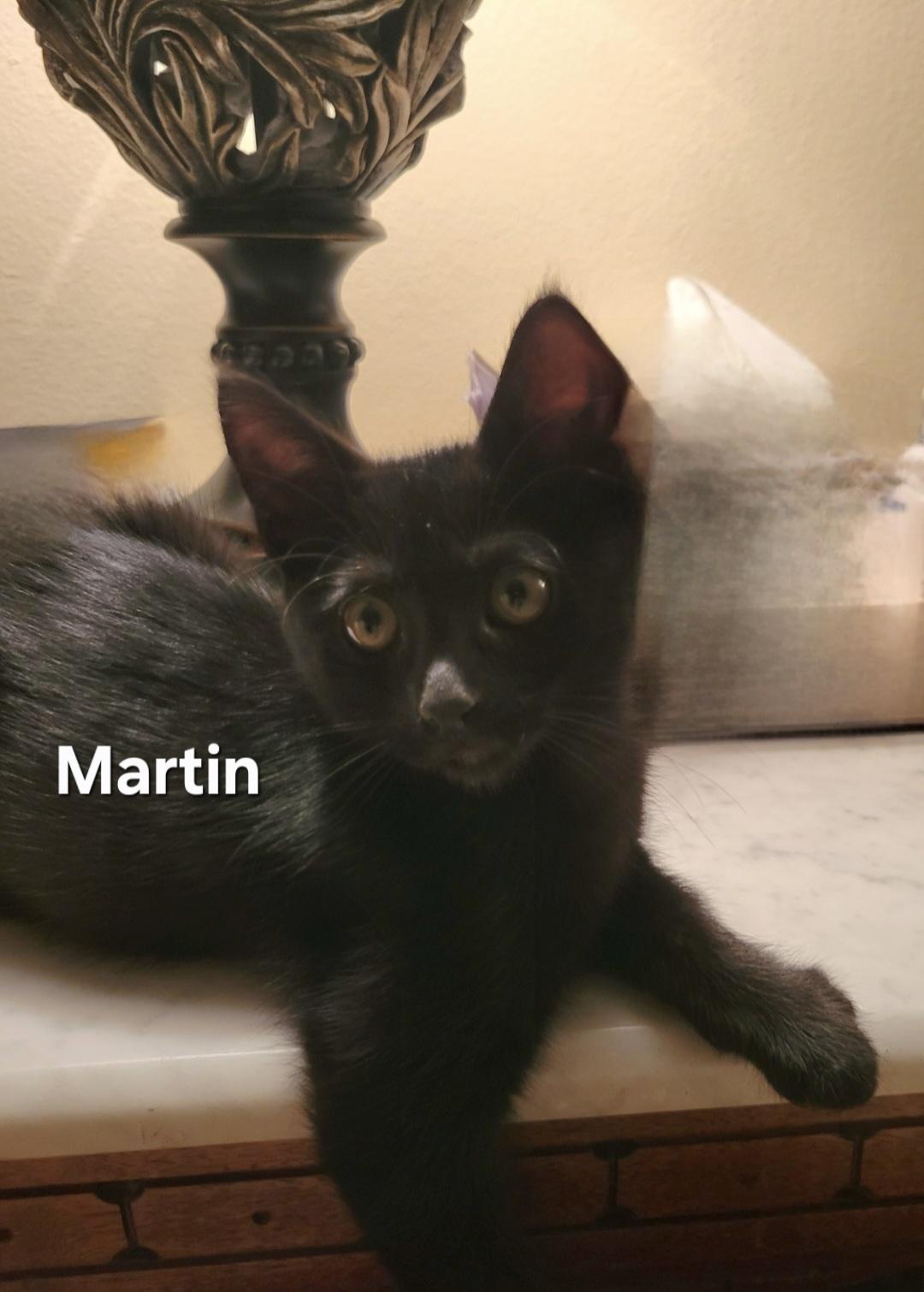 Martin