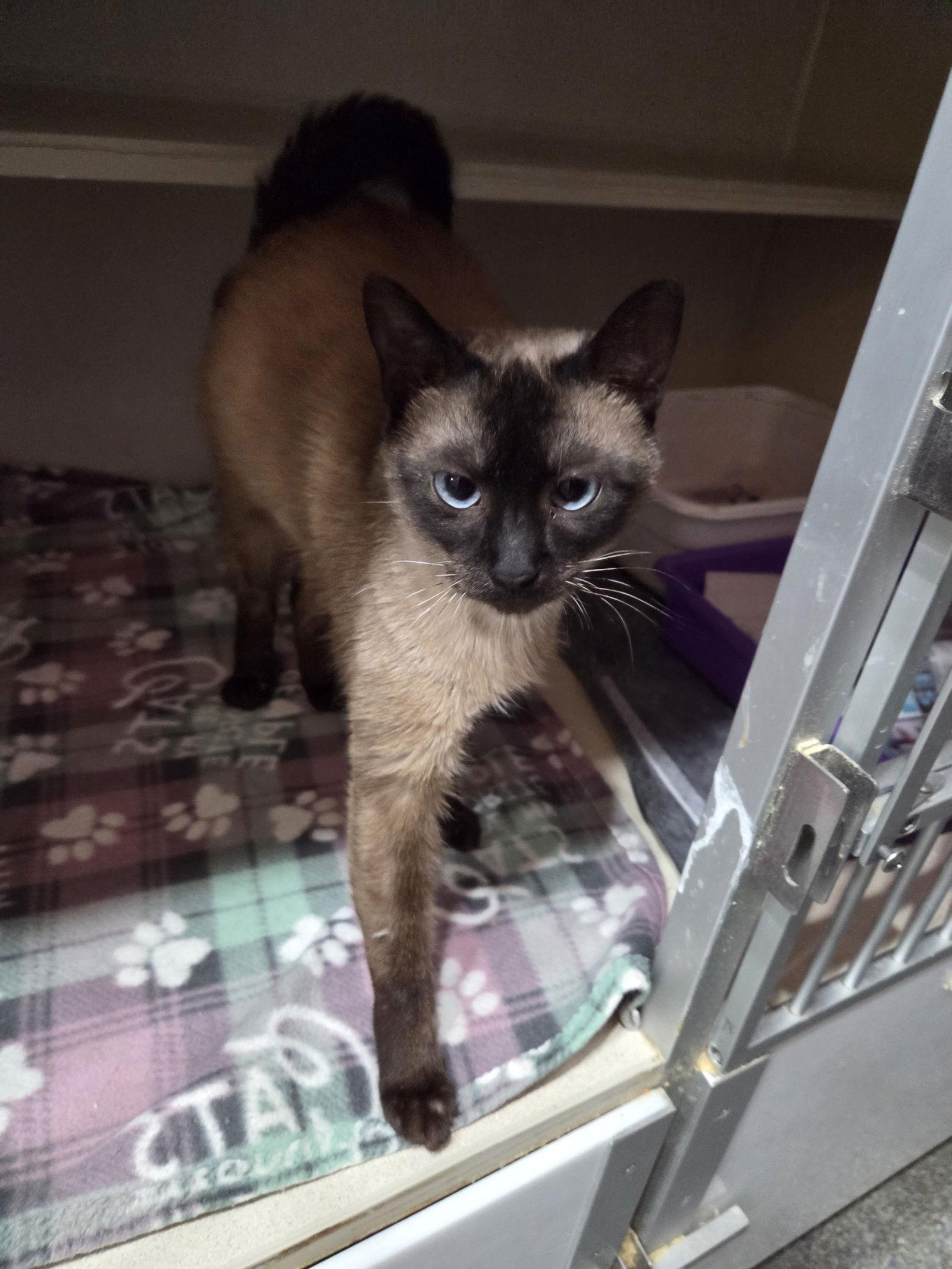 Blessing thumbnail 2